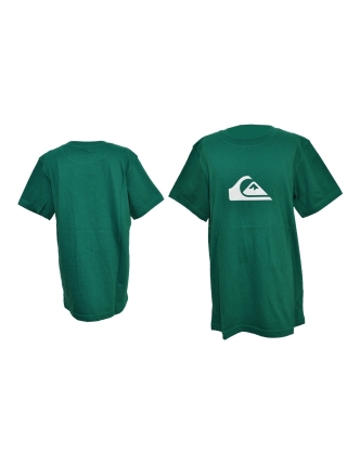 Quiksilver T-shirt Basic Tee Logo Youth Jr